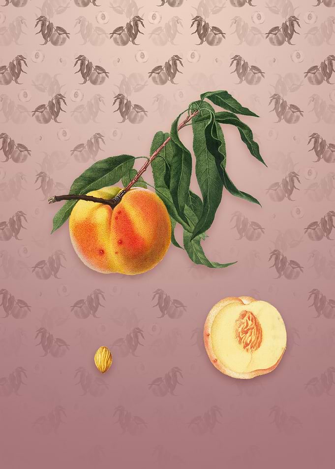 Peach on Dusty Pink