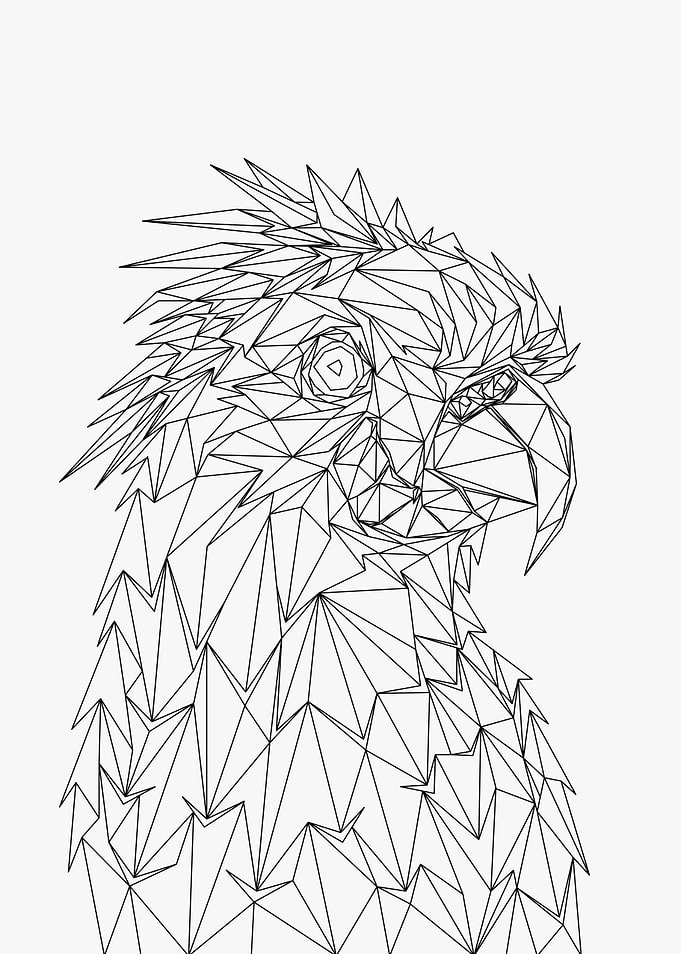 Cockatoo Lowpoly Wireframe