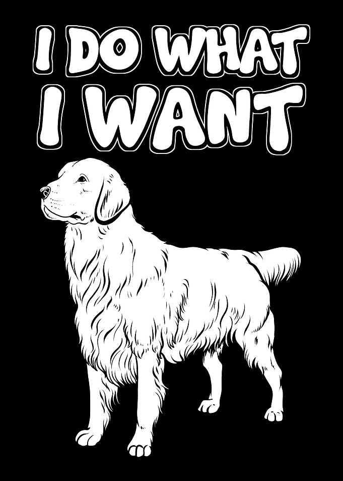 I Do What I Want Dog
