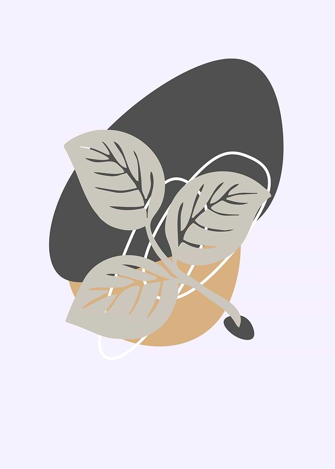 soft leaf abstract