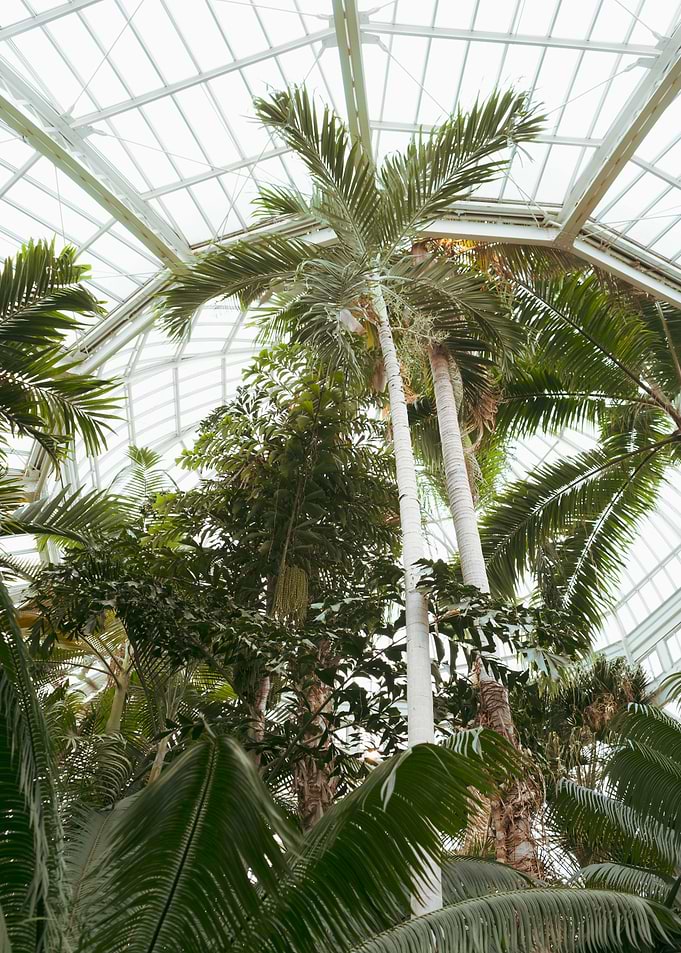 Botanical Garden Views