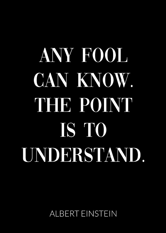 Albert Einstein Quote
