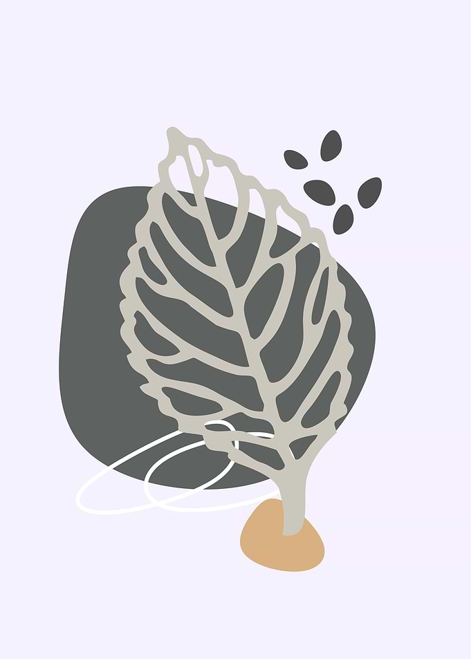 soft leaf abstract