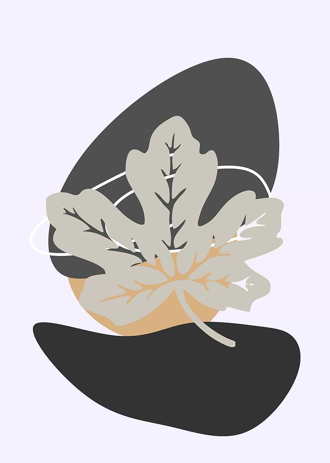 soft leaf abstract
