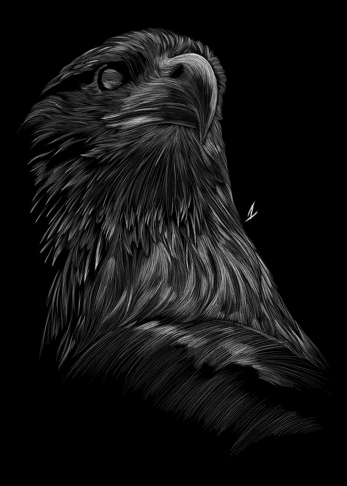 015 Eagle