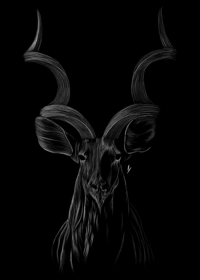 002 Antelope