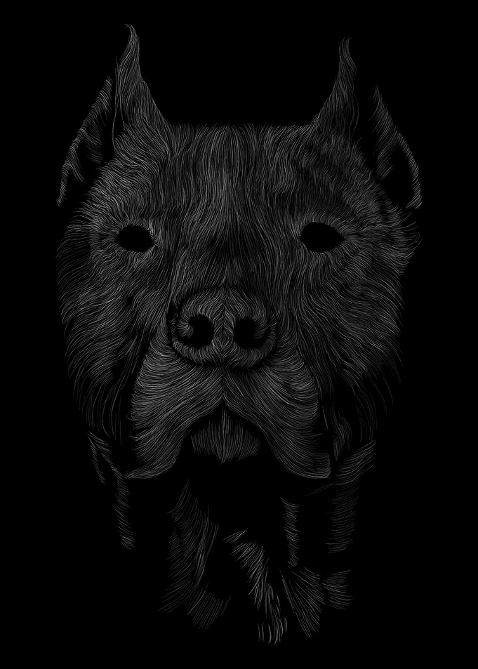 051 Dog