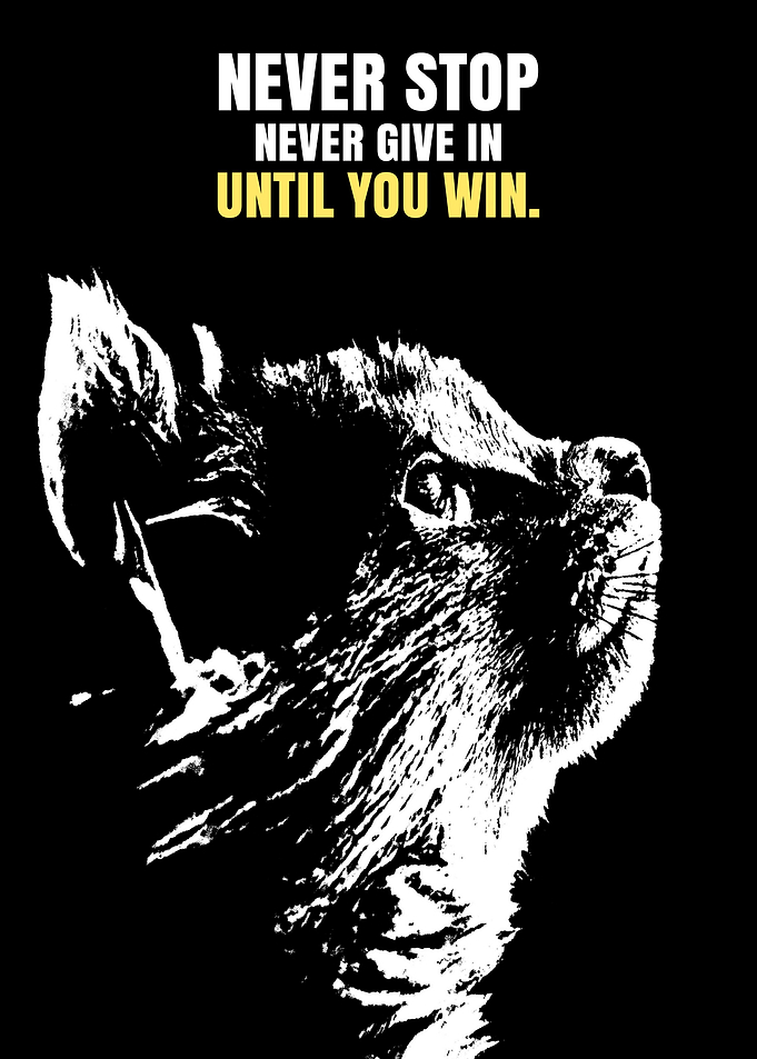Inspirational Quotes