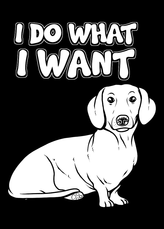I Do What I Want Dog