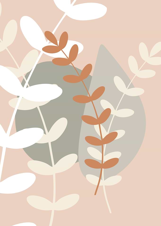 Aesthetic minimalist plant