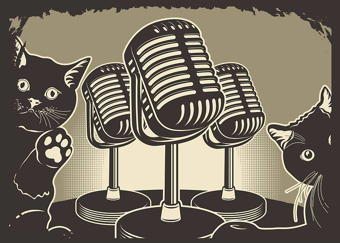Funny Cats Podcast