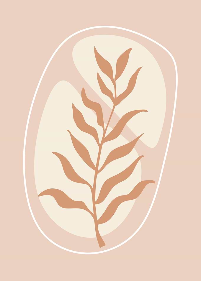Aesthetic minimalist plant