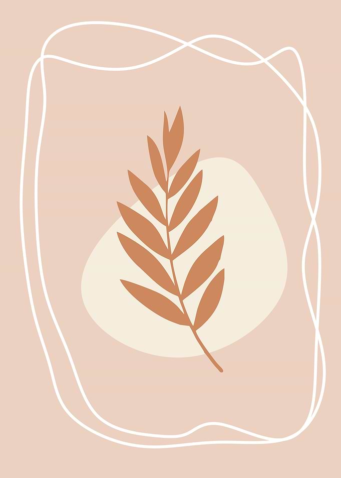 Aesthetic minimalist plant