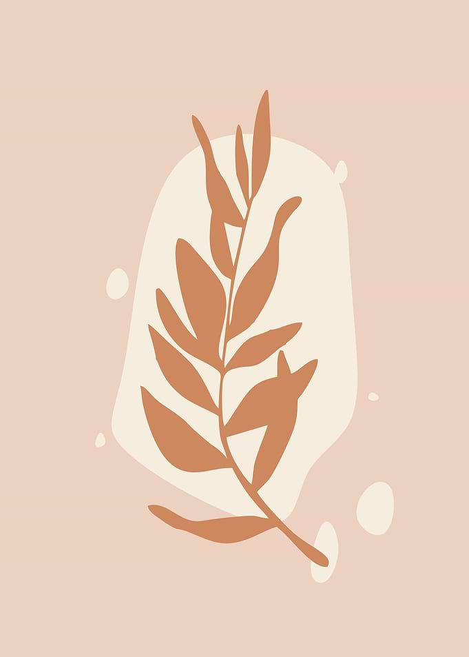 Aesthetic minimalist plant