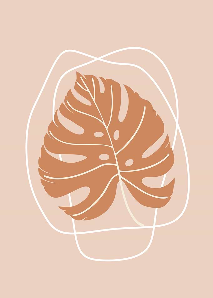 Aesthetic minimalist plant