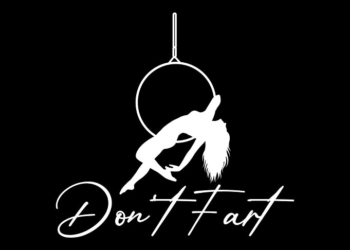 Aerial Silk Aerialist