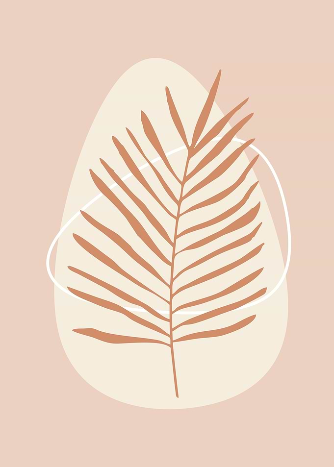 Aesthetic minimalist plant