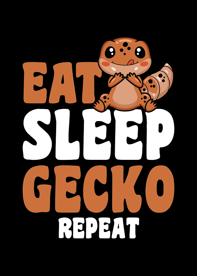 Gecko