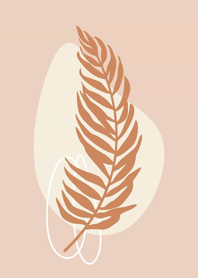 Aesthetic minimalist plant