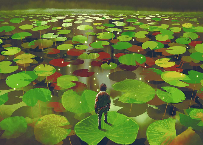 giant lily pad leaf