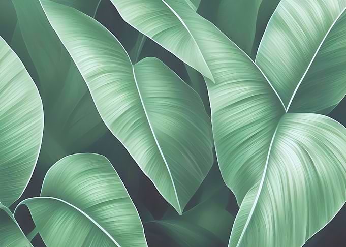 Tropical Leaves