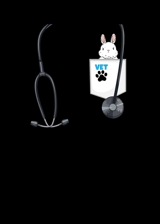 Veterinarian Costume