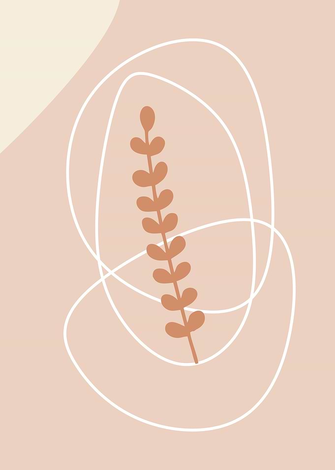 Aesthetic minimalist plant
