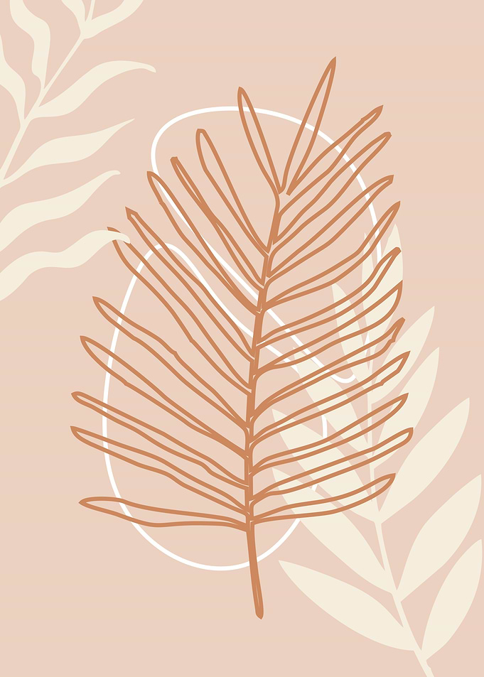Aesthetic minimalist plant