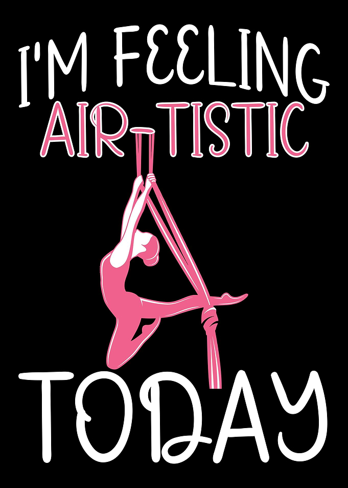 Aerial Silk Aerialist