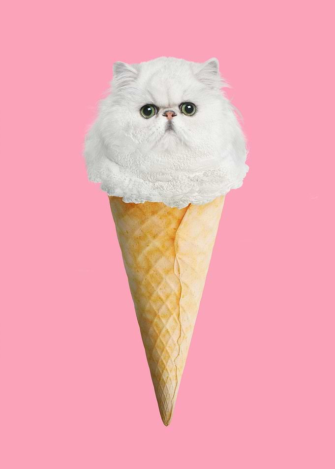 Kitty Ice