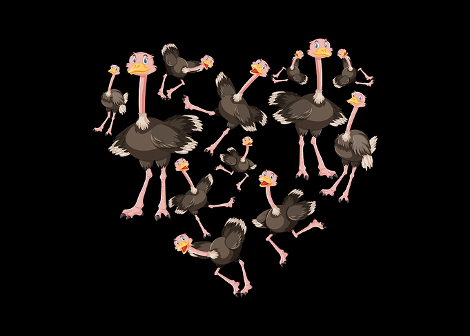 ostrich