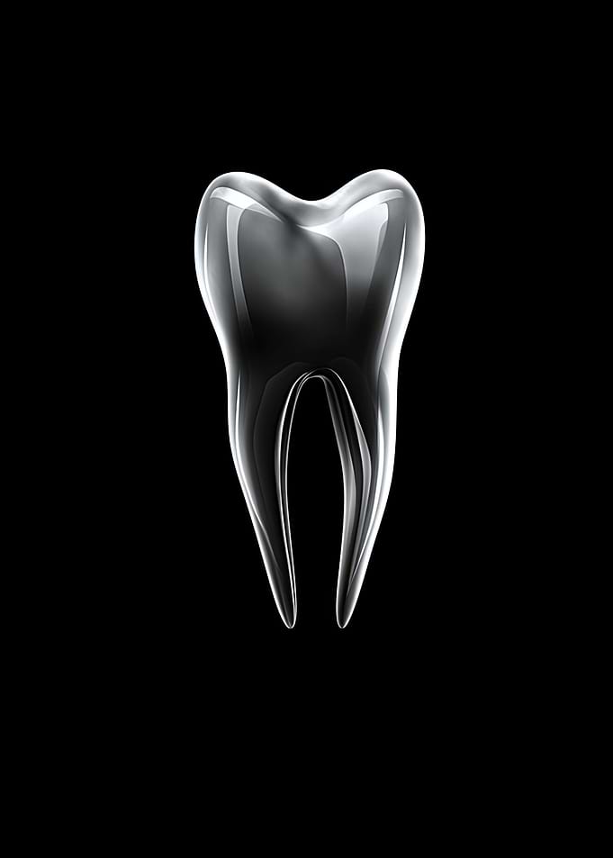 Dental Office Tooth BN