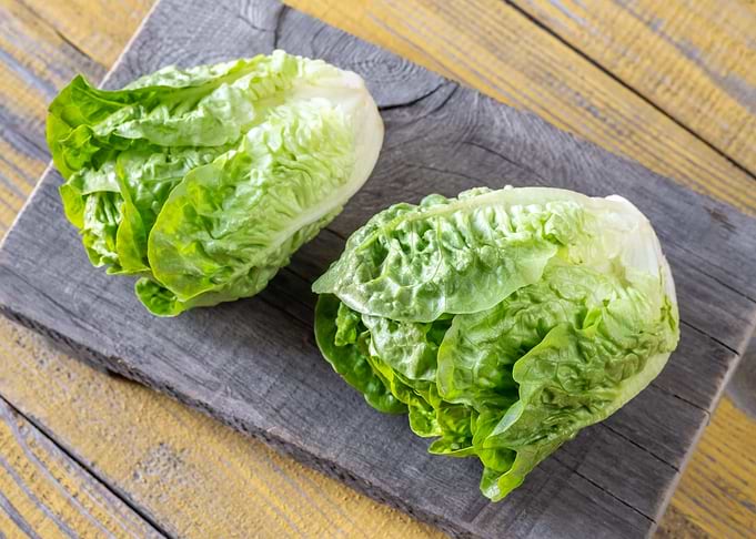 Heads of Romaine lettuce