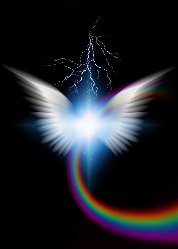 White wings and rainbow