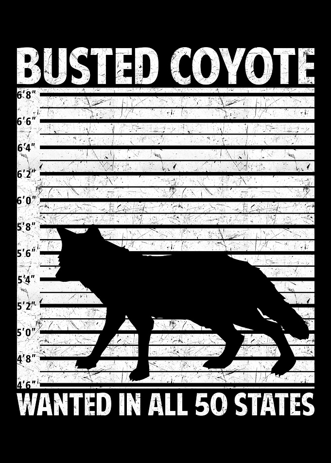 Coyote Hunting