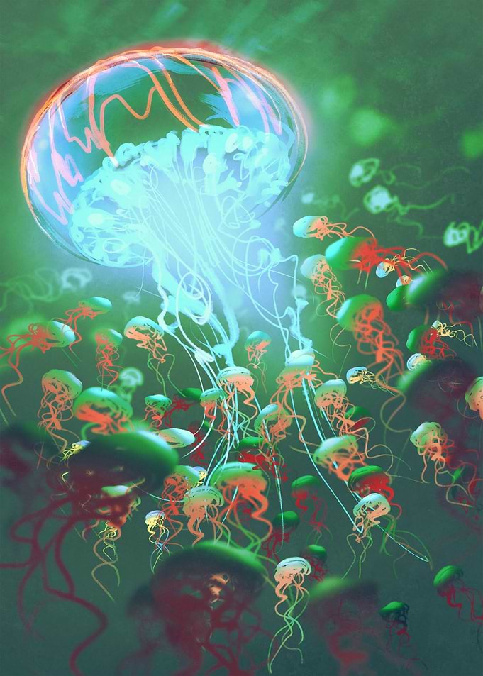 King of jellyfish