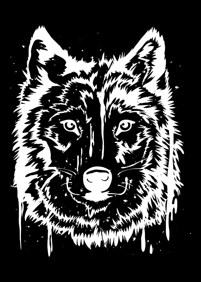 Wolf Water Art