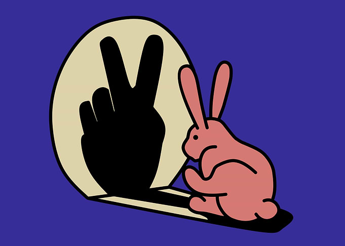 rabbit funny