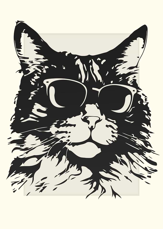 American Curl Cat Sketch