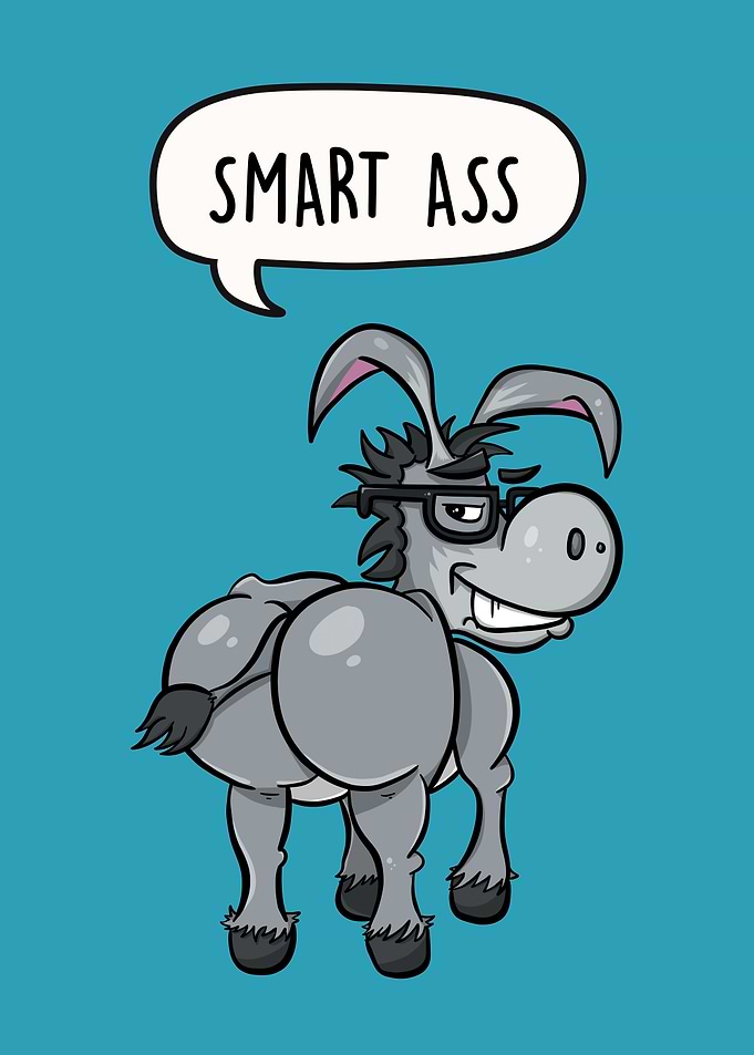 Smart Ass