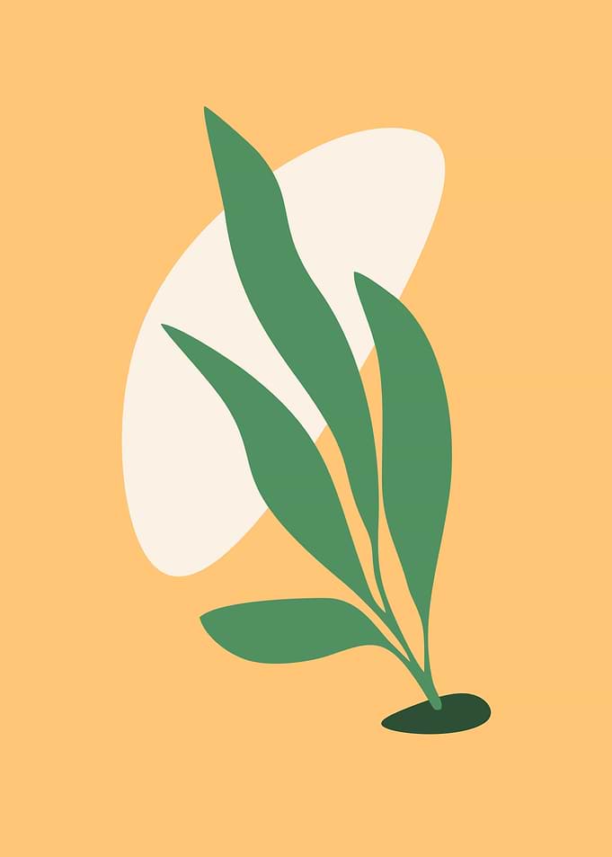 leaves calssic