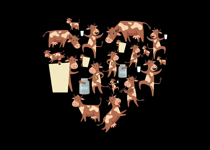 cattle cow