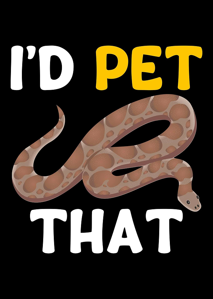 Kenyan Sand Boa