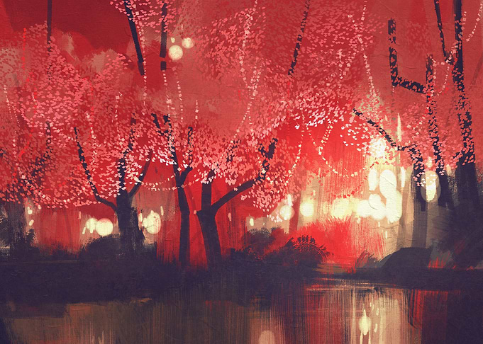 Night autumn forest