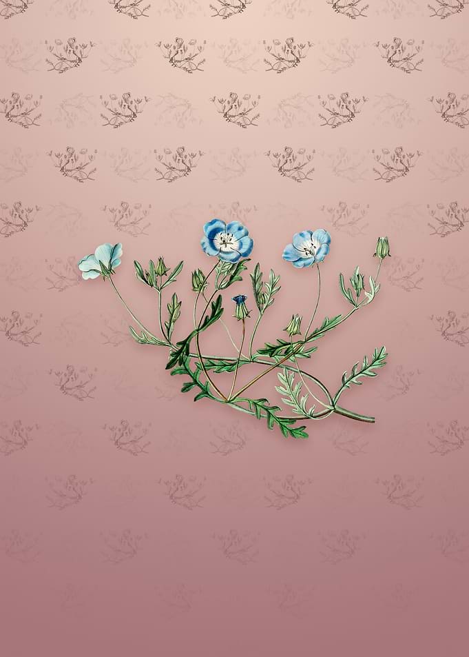 Vintage Shewy Nemophila