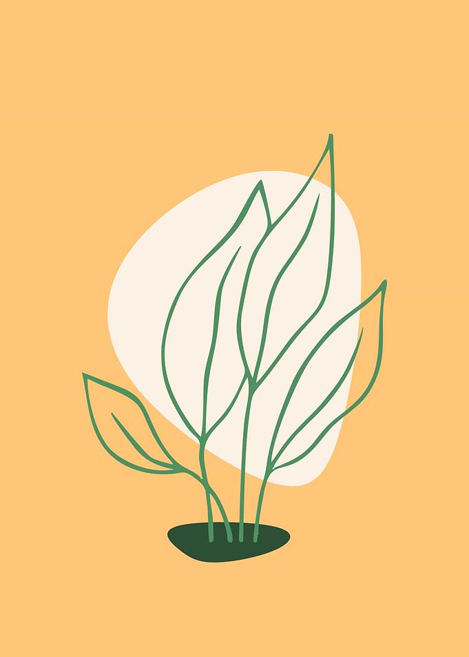 leaves calssic