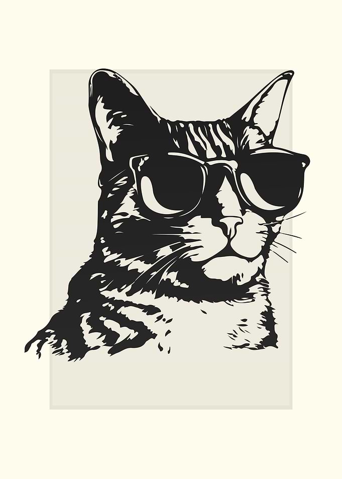 American Wirehair Sketch