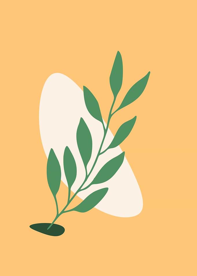 leaves calssic