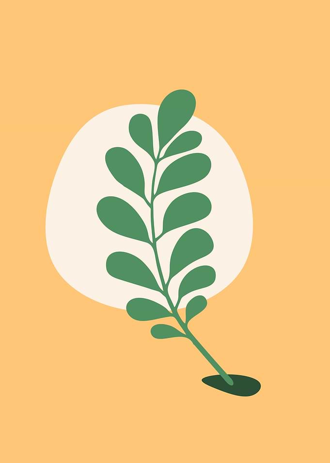 leaves calssic