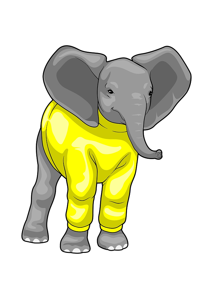 Elephant Sweater